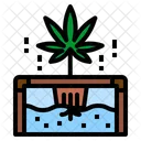 Hydroponic Cannabis Plant Icon