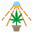 Marijuana Plant  アイコン