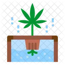 Marijuana Plant Cannabis Plant Hydroponic Icon