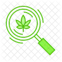 Marijuana Research  Icon