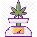 Marijuana Scale Ratio Scale Icon