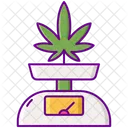 Marijuana Scale Ratio Scale Icône