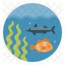 Marine Animals  Icon