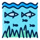 Marine Ecosystem Ocean Biodiversity Icon