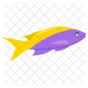 Marine Fish Fish Marine Life Icon