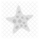 Marine  Icon