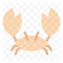 Flat Beach Icon Icon