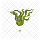 Seaweed Plant Marine Icon