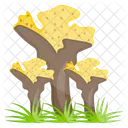 Marine Plants Aquatic Plants Underwater Plants Icon