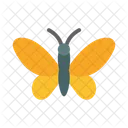 Mariposa  Icono