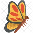Mariposa Insecto Naranja Icono