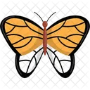 Mariposa  Icono