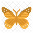 Mariposa  Icono