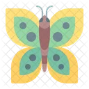 Mariposa  Icono