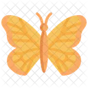 Mariposa  Icono