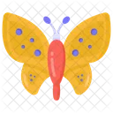 Mariposa  Icono