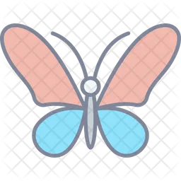 Mariposa  Icono