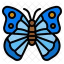 Mariposa  Icono