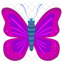 Mariposa  Icono