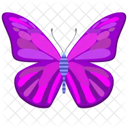 Mariposa  Icono