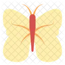 Mariposa  Icono