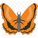 Mariposa  Icono