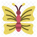 Mariposa  Icono