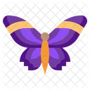 Mariposa  Icono