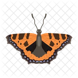 Mariposa  Icono