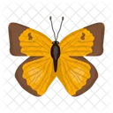 Mariposa  Icono