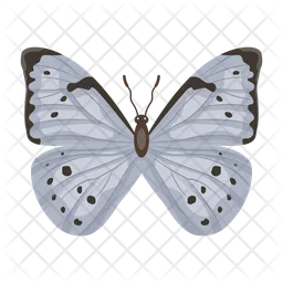 Mariposa  Icono