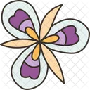 Mariposa  Icon