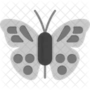 Mariposa  Icono