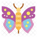 Mariposa  Icono