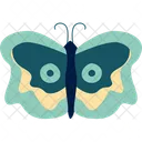 Mariposa  Icono