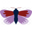 Mariposa  Icono