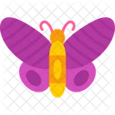 Mariposa  Icono