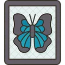 Mariposa  Icono