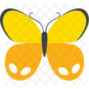 Naranja Ringlet Insectos Icon