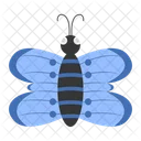 Mariposa azul  Icono