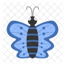 Mariposa azul  Icono