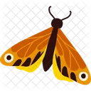 Mariposa Insecto Alas Icon