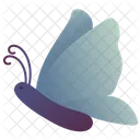 Mariposa  Icono
