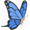 Morpho La Vida Silvestre Hexapodo Icono