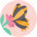 Mariposas  Icono