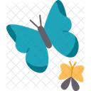 Mariposas  Icono