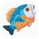 Fishing Vector Fish Icons Sea Creature Icon