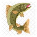 Fishing Vector Fish Icons Sea Creature Icon