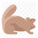 Marmota  Ícone
