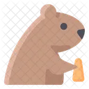Marmota  Ícone